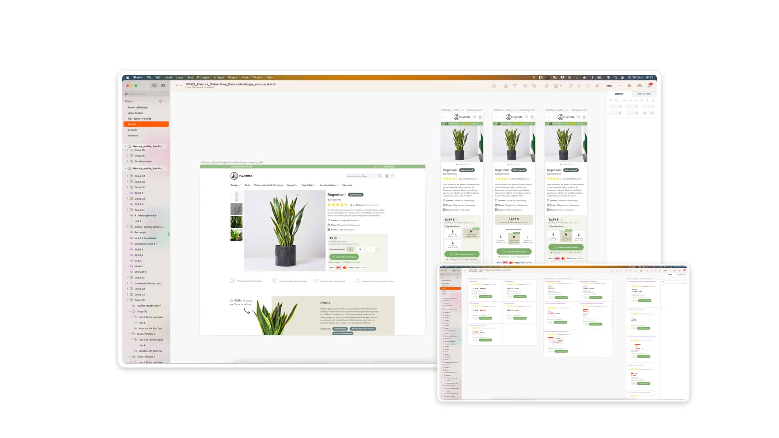 Figma Screen vom UI / UX Design der Plantura App
